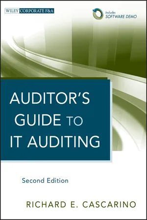 Auditor's Guide to IT Auditing