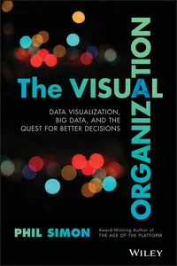 The Visual Organization_cover