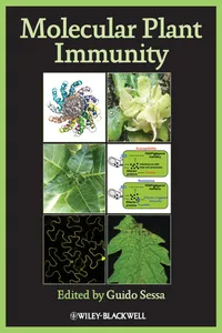 Molecular Plant Immunity_cover