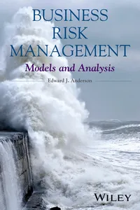 Business Risk Management_cover