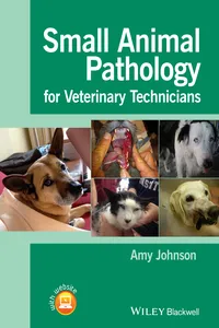 Small Animal Pathology for Veterinary Technicians_cover