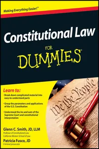Constitutional Law For Dummies_cover