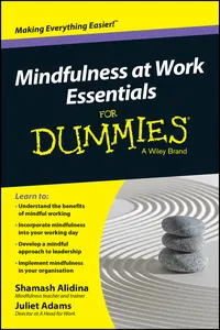 Mindfulness At Work Essentials For Dummies_cover