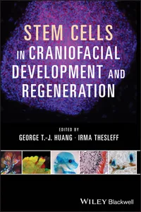 Stem Cells in Craniofacial Development and Regeneration_cover