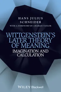 Wittgenstein's Later Theory of Meaning_cover