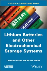 Lithium Batteries and other Electrochemical Storage Systems_cover