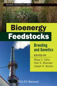 Bioenergy Feedstocks_cover