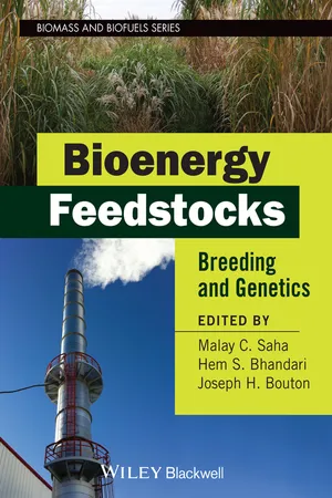 Bioenergy Feedstocks