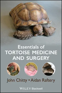 Essentials of Tortoise Medicine and Surgery_cover