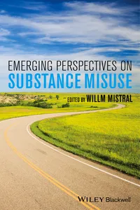 Emerging Perspectives on Substance Misuse_cover