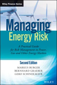 Managing Energy Risk_cover
