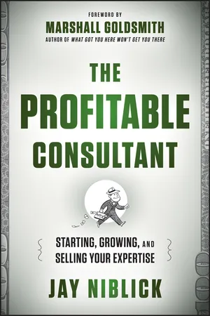 The Profitable Consultant