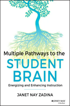 Multiple Pathways to the Student Brain