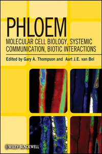Phloem_cover