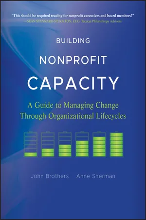 Building Nonprofit Capacity