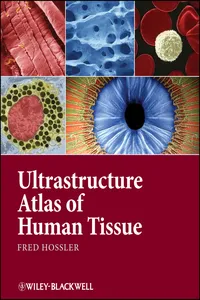 Ultrastructure Atlas of Human Tissues_cover