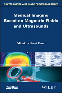 Medical Imaging Based on Magnetic Fields and Ultrasounds_cover