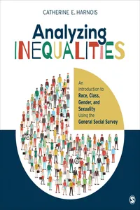 Analyzing Inequalities_cover