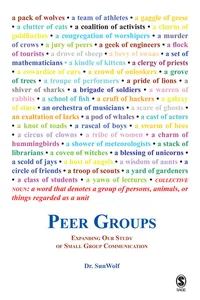 Peer Groups_cover