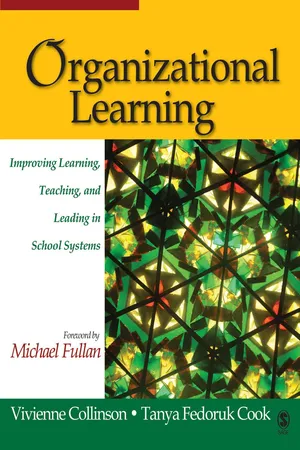 Organizational Learning