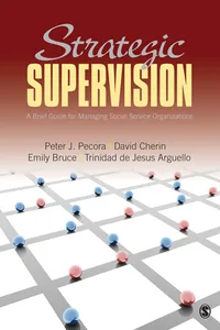 Strategic Supervision_cover