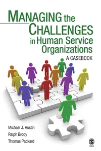 Managing the Challenges in Human Service Organizations_cover