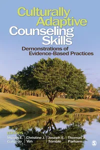 Culturally Adaptive Counseling Skills_cover