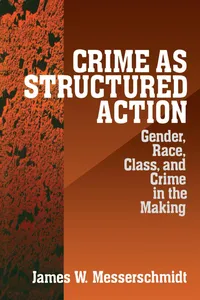 Crime as Structured Action_cover