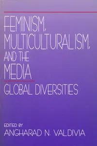 Feminism, Multiculturalism, and the Media_cover