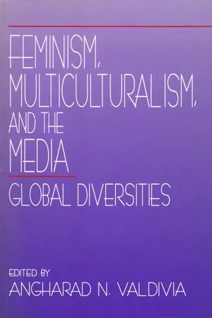 Feminism, Multiculturalism, and the Media