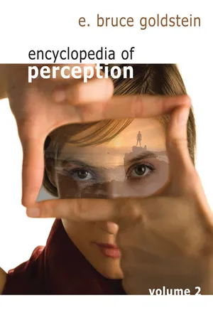 Encyclopedia of Perception