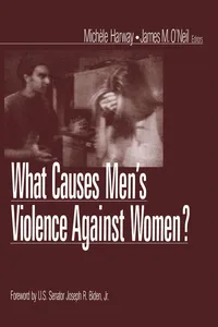 What Causes Men's Violence Against Women?_cover