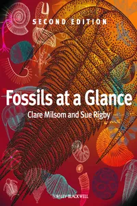 Fossils at a Glance_cover