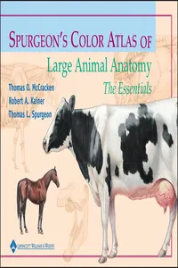 Spurgeon's Color Atlas of Large Animal Anatomy_cover