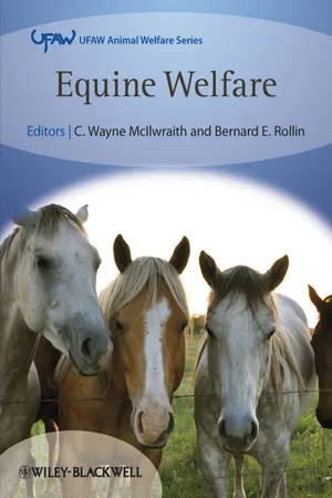 Equine Welfare