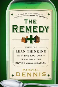 The Remedy_cover