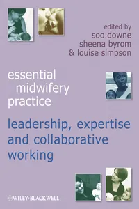 Expertise Leadership and Collaborative Working_cover