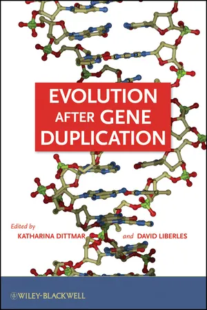 Evolution after Gene Duplication