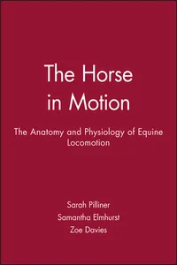 The Horse in Motion_cover
