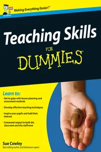 Teaching Skills For Dummies_cover