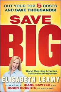 Save Big_cover