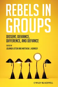 Rebels in Groups_cover