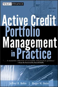 Active Credit Portfolio Management in Practice_cover