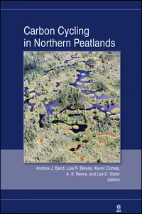 Carbon Cycling in Northern Peatlands_cover