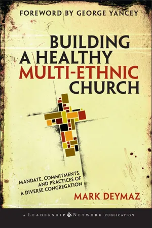 Building a Healthy Multi-ethnic Church