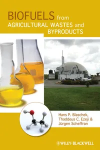 Biofuels from Agricultural Wastes and Byproducts_cover