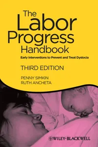 The Labor Progress Handbook_cover