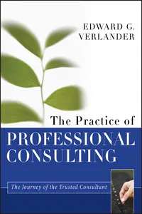 The Practice of Professional Consulting_cover