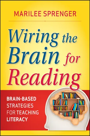 Wiring the Brain for Reading