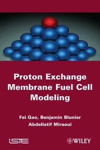 Proton Exchange Membrane Fuel Cells Modeling_cover